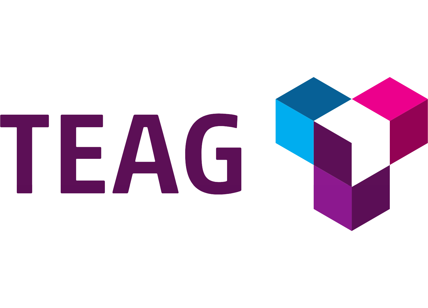 Logo Teag